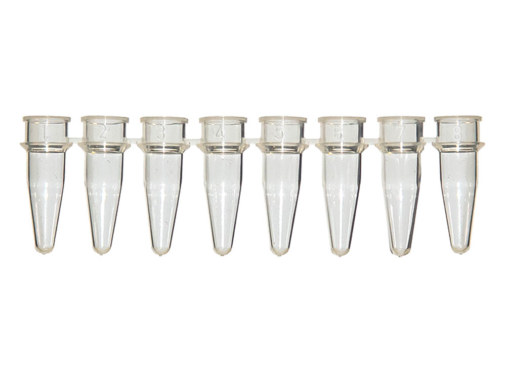 0.2 mL 8-Strip PCR Tubes