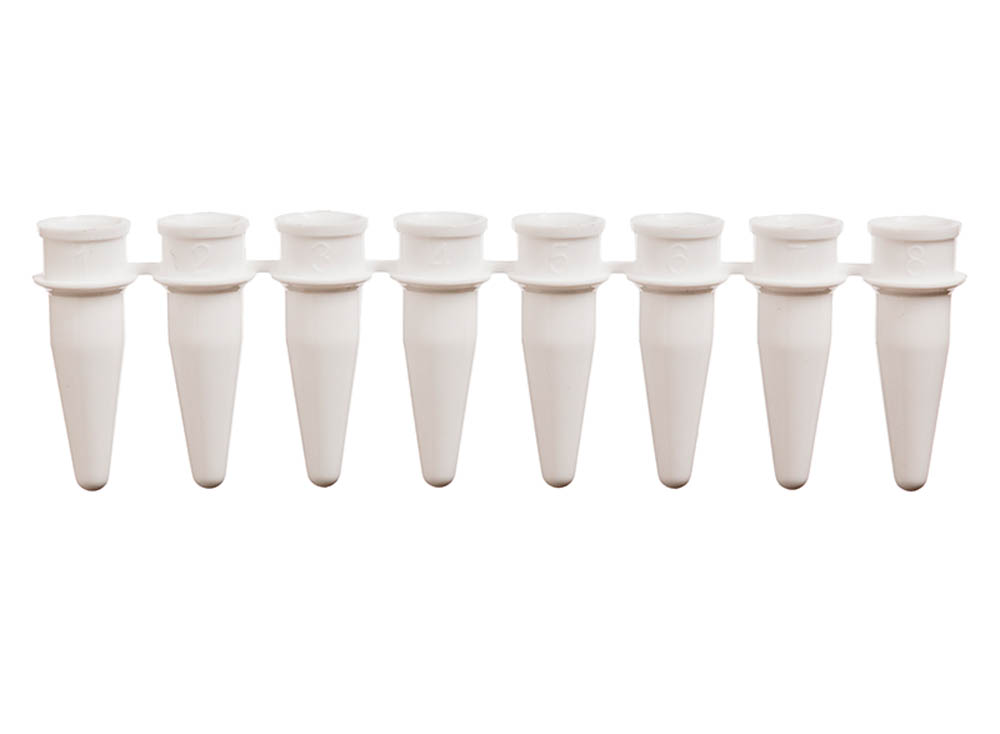 0.2 mL 8-Strip PCR Tubes, White