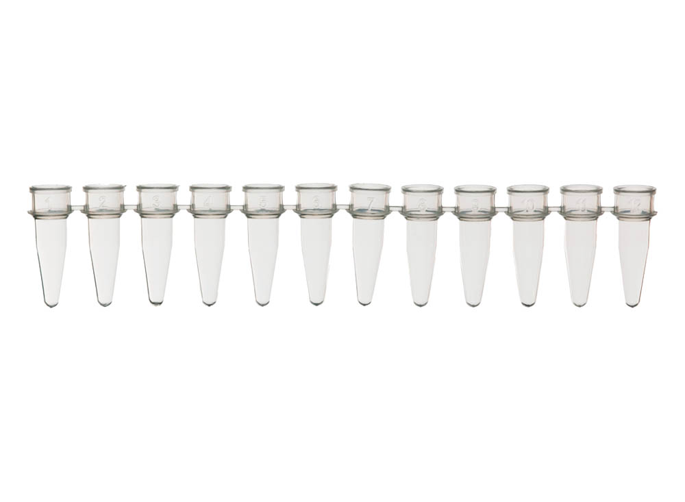 0.2 mL 12-Strip PCR Tubes