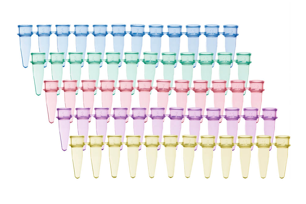 0.2 mL 12-Strip PCR Tubes, Blue