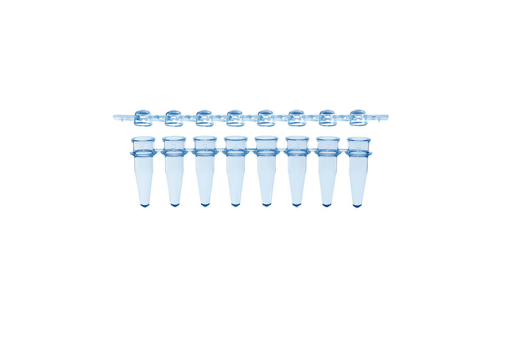 0.2 mL 8-Strip PCR Tubes & Clear, Dome Caps, Blue