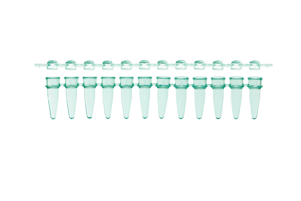 0.2 mL 12-Strip PCR Tubes & Clear, Dome Caps, Green