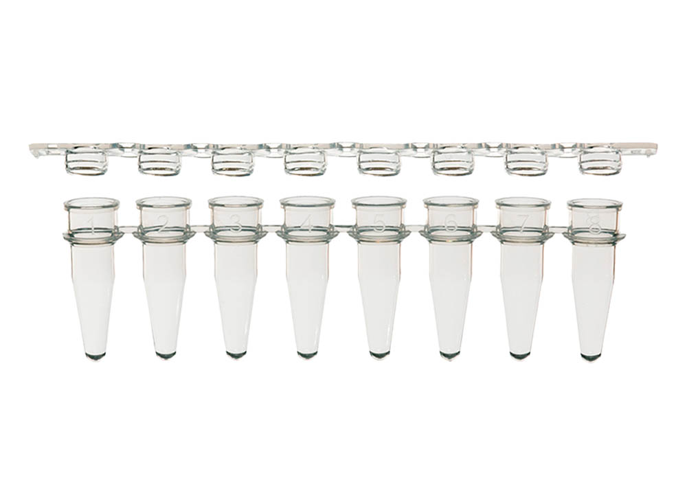 0.2 mL 8-Strip PCR Tubes & Clear, Flat Caps