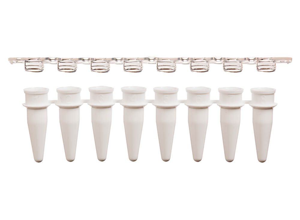 0.2 mL 8-Strip PCR Tubes & Clear, Flat Caps, White