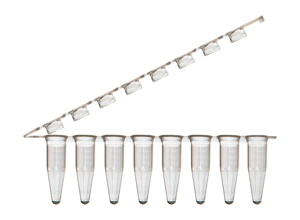 0.2 mL 8-Strip UltraFlux&reg; z PCR Tubes with Flat Caps