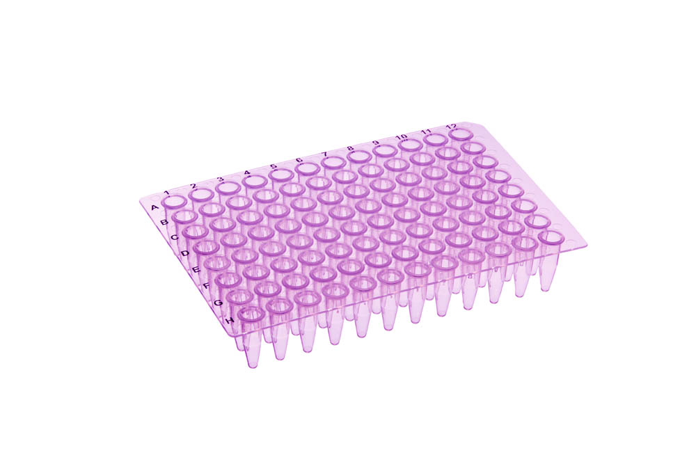 96-Well 0.2 mL Universal Non-Skirted PCR Plates, Violet