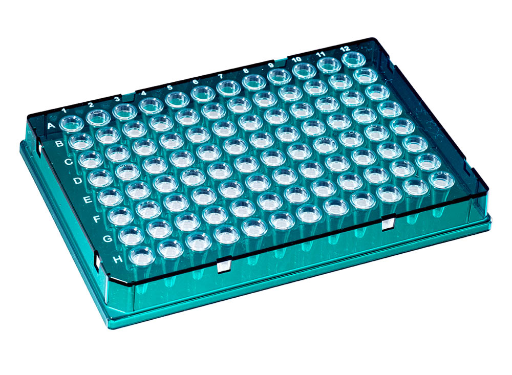 0.1 mL DuraFrame&reg; Rigid PCR Plates, Green
