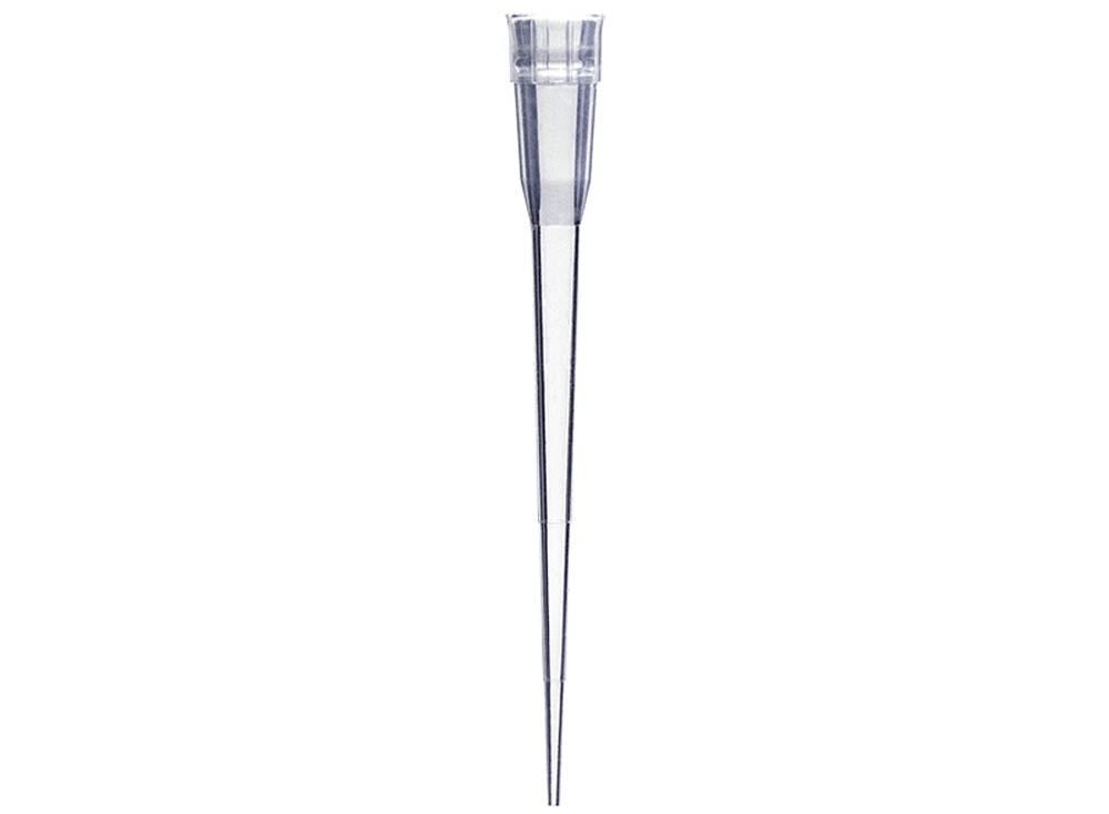 10 &mu;L&nbsp;XL Pipette Tips, Racked Sterile